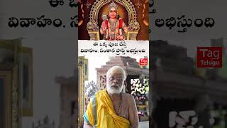 ఈ ఒక్క పూజ చేస్తే చాలు Ayyappa Swamy Niyamaalu kanneswamy shorts tagtelugu [upl. by Archie]