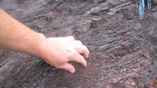 Geology in the Marin Headlands  Hydrothermal Vent Deposits [upl. by Ellezaj835]