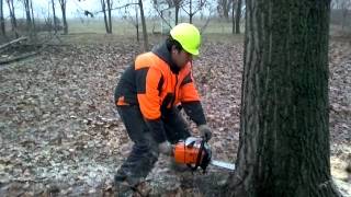 Stihl Ms 341 nyaras [upl. by Stoneham]