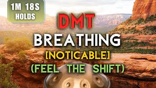 FEEL THE SHIFT Noticeable Bliss from DMT Breathing  1Min 15s Holds  3 Rounds Session 1731 [upl. by Noslien]