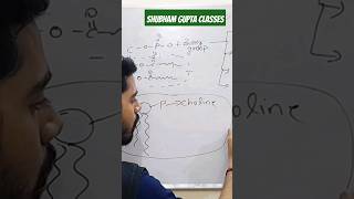 Lecithin  Phospholipid shubhamgupta shubhamguptaclasses biology neet biomolecules [upl. by Ikir]