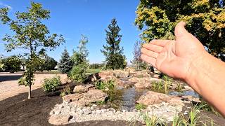 Installing the Centerpiece Evergreen Behind the New Waterfall  Other Planting Projects 🌲😍🌲 [upl. by Sedruol]