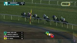 Pioneering Spirit in the Red Smith Stakes Gr 2 at Aqueduct on 11924 [upl. by Asreht827]