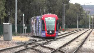 Adelaide Metro Trams at South Terrace Bombardier Flexity Alstom Citadis [upl. by Annawd173]