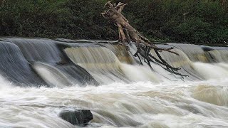 doncaster falls doncaster [upl. by Ellehcim]