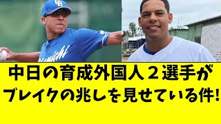 【中日】育成外国人選手２名、ブレイクの兆しを見せている件 [upl. by Fisuoy]