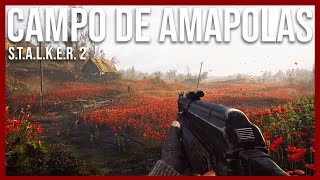 Misiones en el Campo de Amapolas  Cómo llegar y posibles RECOMPENSAS  STALKER 2 [upl. by Mady]