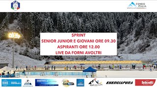 Biathlon Coppa Italia Fiocchi  Sprint  FORNI AVOLTRI [upl. by Ejroj]