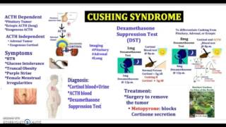 3 Minutes Cushing Syndrome Causes Symptoms Diagnosis Treatment Pathology USMLE NCLEX MCAT [upl. by Marnia]