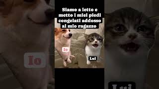 🦶 🧊❄️ 😹😹😹Ragazzoscaldino😻E voi lo fate 😹😹 dormireinsieme roma milano maranza bro amoremio [upl. by Anerres]