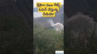 శ్రీశైలం Dam గేట్స్ ఓపెన్ చేస్తున్న వీడియో srisailam dam gates open srisailam nallamalla travel [upl. by Tommi126]