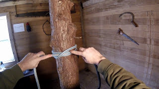 Clove Hitch amp 2 Half Hitches  Arborist Knots [upl. by Monteith678]