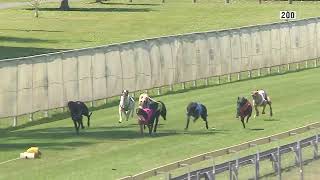 Capalaba22092024Race1 [upl. by Olive]