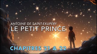 Le Petit Prince Chapitres 21 et 22 [upl. by Huberto]