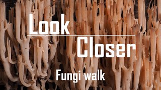 Fungi walk [upl. by Eiramenna111]