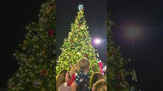 Christmas tree lighting in GA [upl. by Jet615]