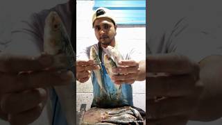 Amazing sardine fish cutting skills [upl. by Renner]