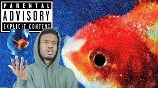 Vince Staples  BIG FISH THEORY First REACTIONREVIEW [upl. by Aciamaj474]