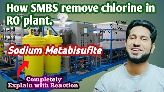 How SMBS remove chlorine in RO plant  Sodium Metabisufite dosing in RO plant [upl. by Ednarb286]