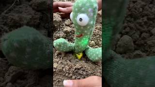 Cactus🌵me dost🥲ko kya ho gaya🥲🥹🤨shortsvideo [upl. by Gnut]