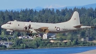 RARE US Navy Lockheed P3C Orion 161405 VQ1 quotWorld Watchersquot Touch and Go at PDX [upl. by Rostand]