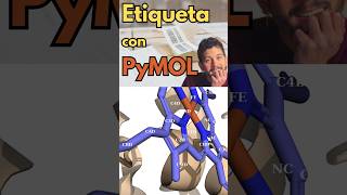 Secretos de PyMol NOMBRA estructuras como un PRO ✍️😎 computación química biomoleculas tutorial [upl. by Eelanna]