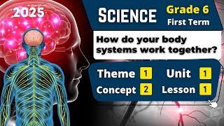 How do your body systems work together  Grade 6  Unit 1  Concept 2  Lesson 1  Science [upl. by Paulo]