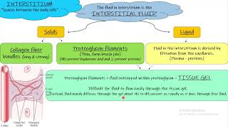 Interstitial Fluid Chapter 16 part 5 Guyton and hall Physiology [upl. by Dewie]