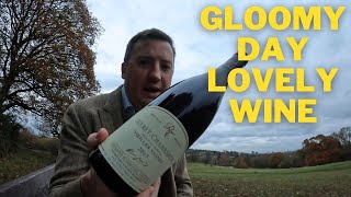 Rossignol Trapet Gevrey Chambertin 2017 [upl. by Amlev]