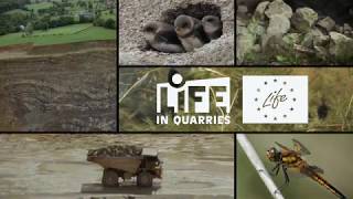 LIFE IN QUARRIES [upl. by Lladnew]