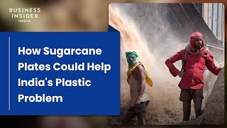 How Plates Made From Sugarcane Could Help Indias Plastic Problem  World Wide Waste [upl. by May]