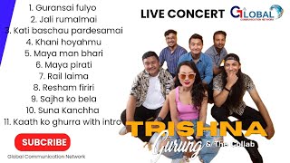 Trishna Gurung amp The Collab  Video songs collection  Live version  GCN 2081 [upl. by Wait293]