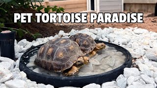 Sulcata Tortoise Enclosure [upl. by Tomi]