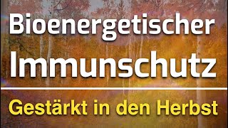 Harmonisierung des Immunsystems amp bioenergetische Erkältungsabwehr für den Herbst 🍁 [upl. by Nolyd]