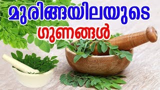 മുരിങ്ങയിലയുടെ ഗുണങ്ങൾ  Benefits Of Moringa Leaves Drumstick Leaves   MALAYALAM TASTY WORLD [upl. by Ahsineg213]