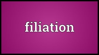 Filiation Meaning [upl. by Hamehseer]