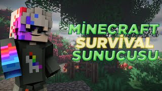 Minecraft Survival Server Türk  En İyi Premiumsuz Serverler  Server Tanıtımı [upl. by Sivraj816]