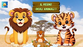 REGNO DEGLI ANIMALI 1 Caratteristiche e Suoni [upl. by Atilemrac]