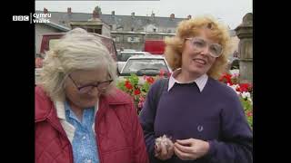 Lord Dafydd Elis Thomas interviews Carmarthen people about their Welsh identity [upl. by Ahsyekal723]