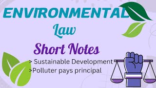 Sustainable development  Polluter pays principal  Environmental Law [upl. by Leola]