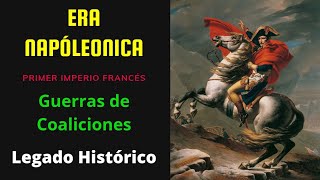 Historia de las Guerras Napoleónicas [upl. by Haslett236]