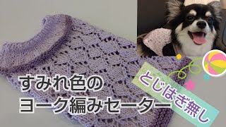 【棒針犬服】NEWきららコットンで「とじはぎ無し」犬用ヨーク編みセーター編んでみました [upl. by Lonny]