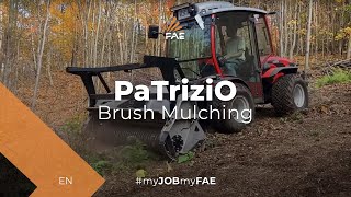 The small FAE forestry mulcher in action with an Antonio Carraro TTR 7600 tractor [upl. by Keely]