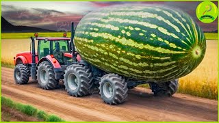 20 Amazing Heavy Agriculture Machines Working At Another Level ▶31 [upl. by Seton]