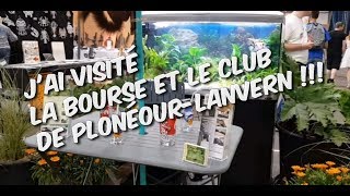 VISITE Bourse aquariophile PLONÉOURLANVERN  club [upl. by Lennod]