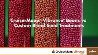 CruiserMaxx Vibrance Beans Vs Custom Blend Seed Treatments [upl. by Redienhcs]