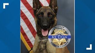 Live  Funeral held for Coweta K9 killed in line of duty [upl. by Dis]