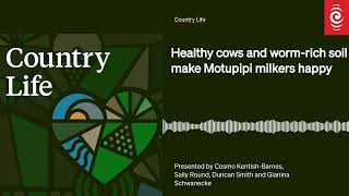 Healthy cows and wormrich soil make Motupipi milkers happy  Country Life [upl. by Yak]