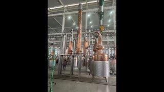 Gin Distillation Equipment Multifunctional Distiller Still [upl. by Jarvey154]