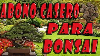 Como hacer abono para bonsai tamahis caseros muy facil [upl. by Rolyt922]